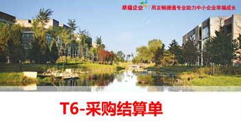 棗莊用友軟件T6-采購結算單