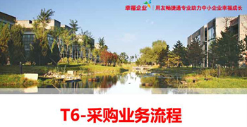 棗莊用友軟件T6-采購業務流程